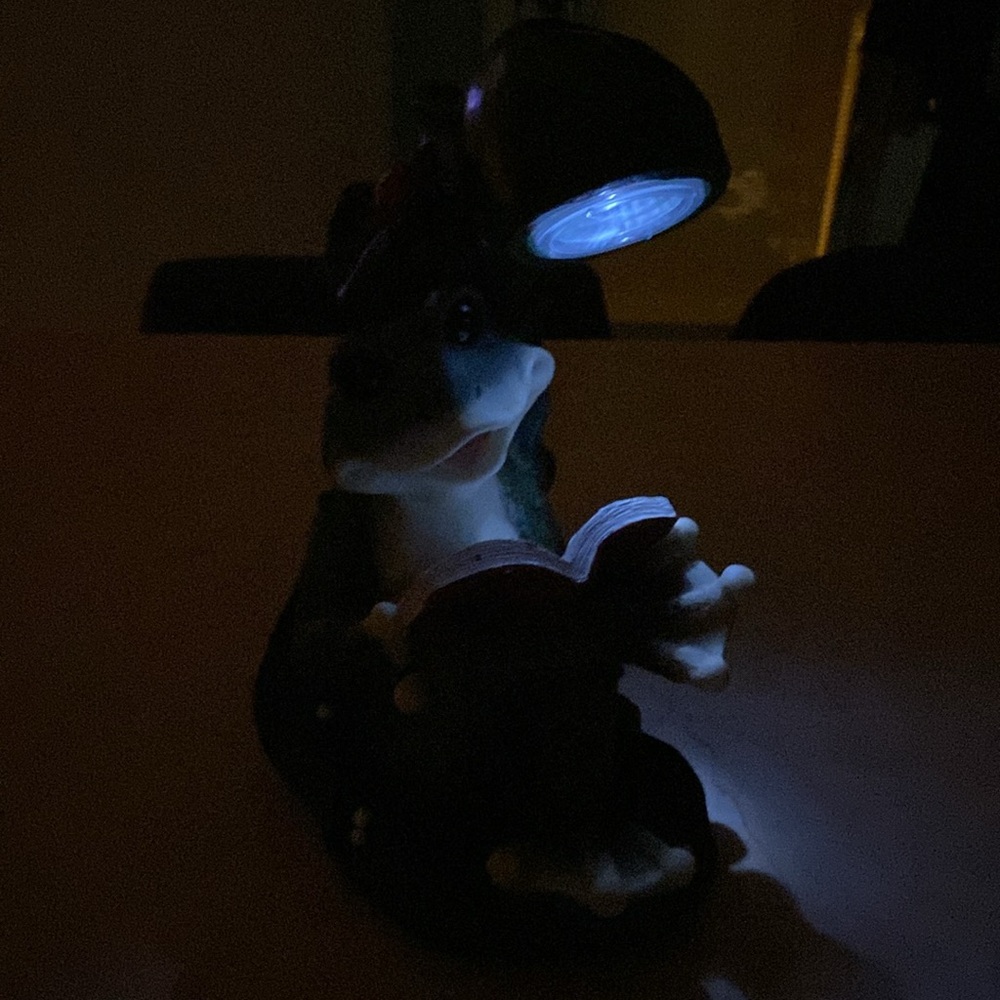 Solar Powered Frog Reader Garden Decor - Picture 7 of 13